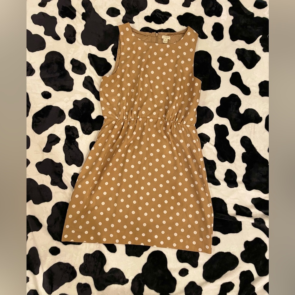 J. Crew Polka Dot Dress